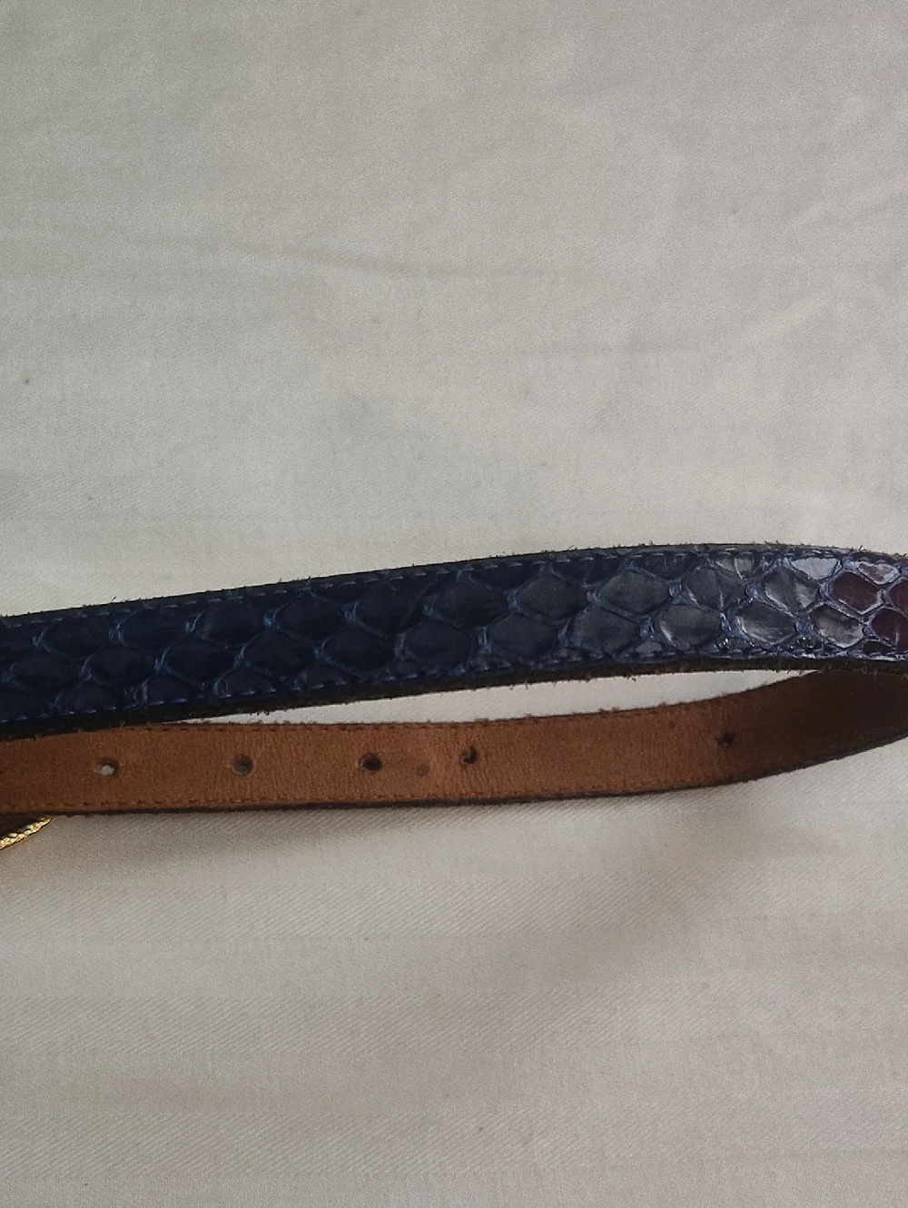 Apple Blue Vintage Snake-Embossed Leather Belt with Gold Buckle